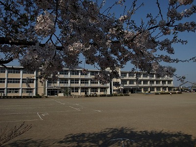 薬師寺小学校(やくしじ しょうがっこう)の写真