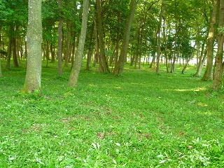 �����Q�T�N�x������Q�񍑕����Տ����O�Q