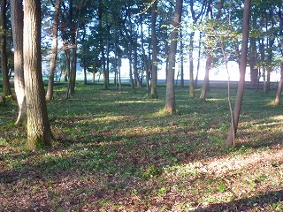 平成25年度国西第3回国分寺跡除草02