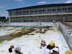 2014_5_28_p_02
