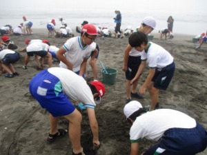rinkai2.jpg