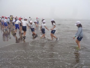 rinkai7.jpg