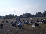 R7PTAhoushi1.jpg