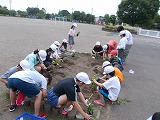R8hanaue6gatu1.jpg