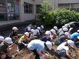 R8satumaue1.jpg