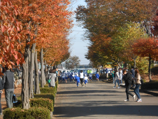 301121zikyuu1.jpg