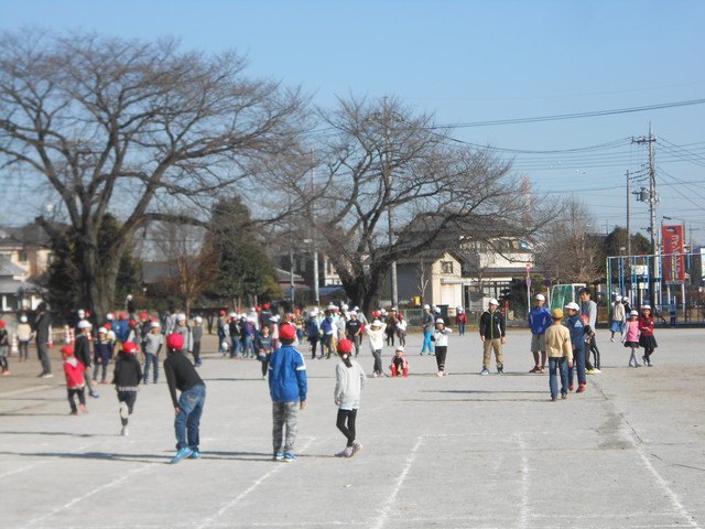 301219siinoki2.jpg