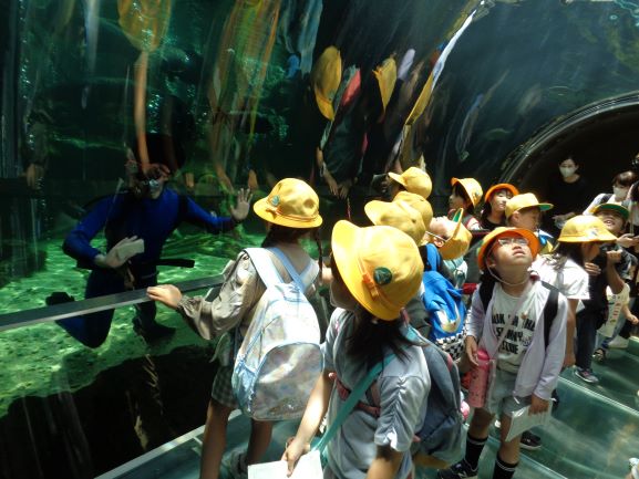 �q�V�@�Q�N�����Q