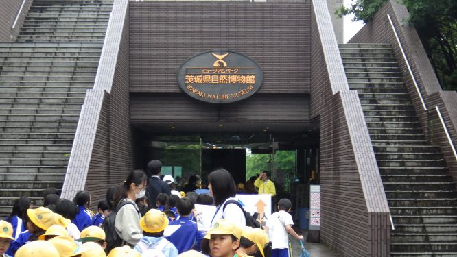 R7�R�N�����P