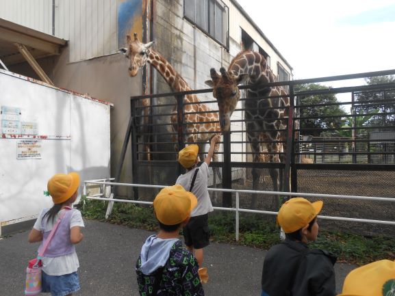 R7�P�N�����P