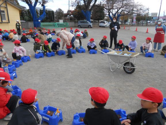 R7チューリップ2