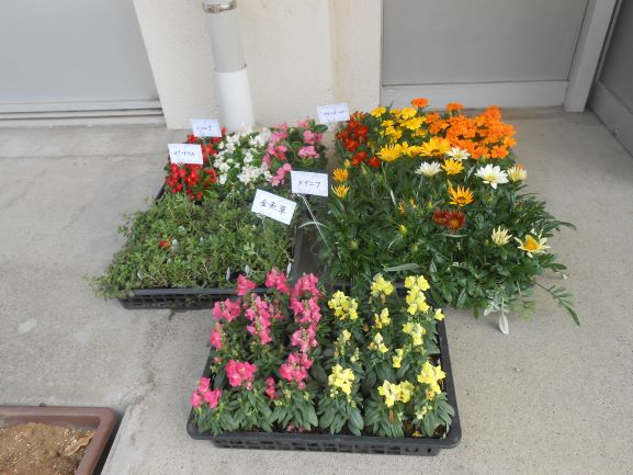 R7人権の花贈呈式2