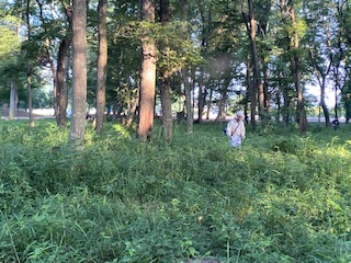 R7�������Տ����R