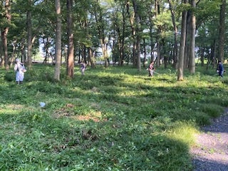 R7�������Տ����S