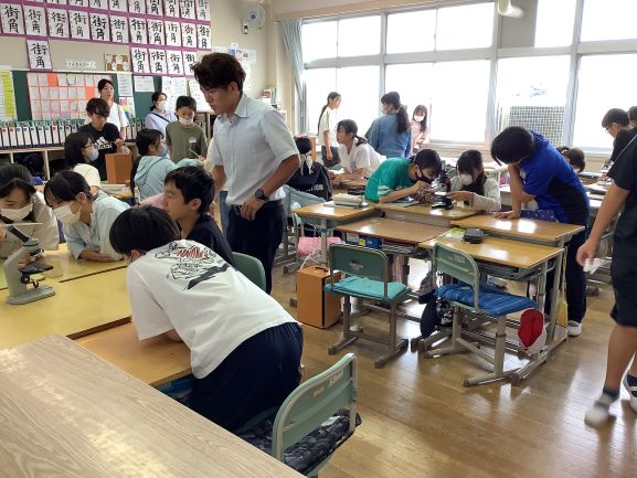 R7���R���ƎQ�ςQ