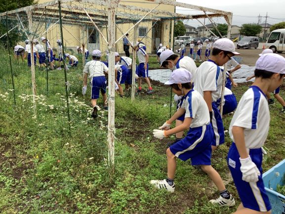 R7クリーン活動2