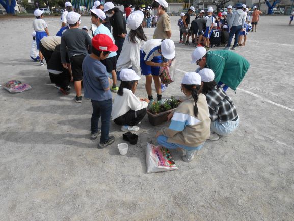 R7�͔|�����P