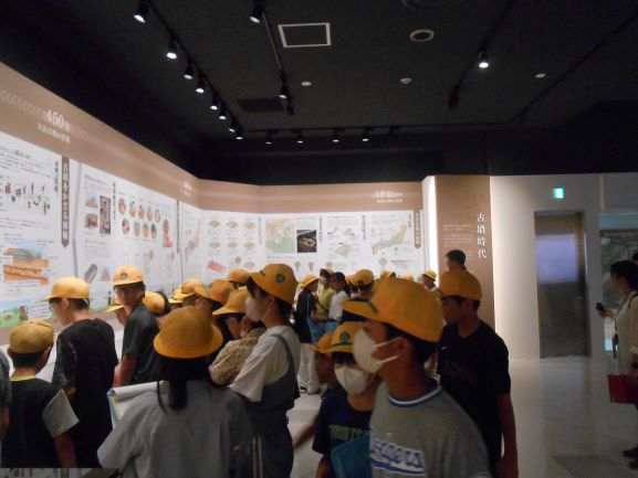 R7�Љ�Ȍ��w6�N