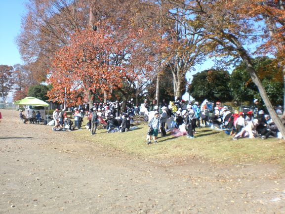 R7�����̖؉����P