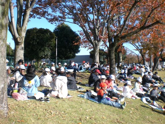 R7�����̖؉����Q