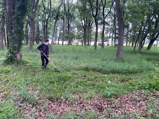 R7�������Տ���