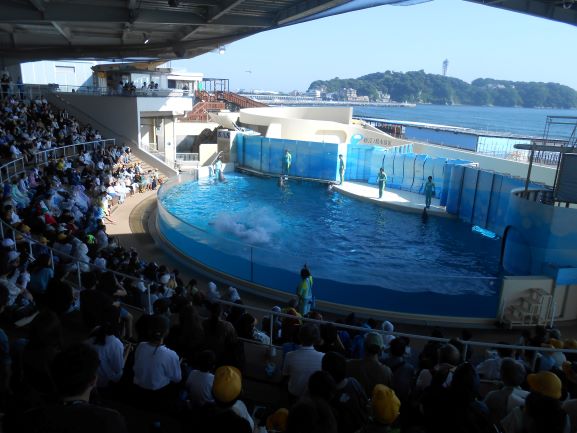 R7�C�w���s�Q