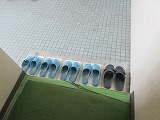 IMG_8560.jpg