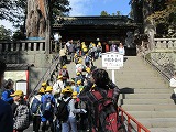 R61112nikko8.jpg