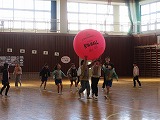 R70130kinball5.jpg