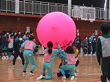 R70201knball2.jpg