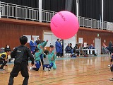 R70201knball5.jpg