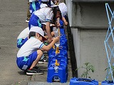 R70516asagao1.jpg