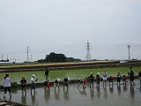 R70526taue11.jpg