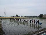 R70526taue12.jpg