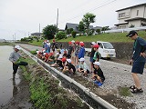 R70526taue2.jpg
