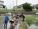 R70526taue4.jpg