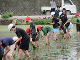 R70526taue8.jpg