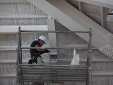 R70729koji5.jpg