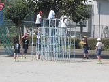 R709022kame4.jpg