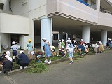 R70912joso2.jpg