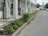 R70912joso6.jpg