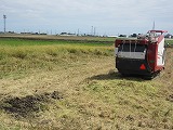 R70926inekari12.jpg