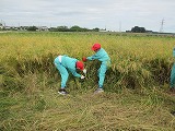 R70926inekari9.jpg