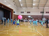 R80127kinball5.jpg