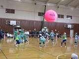 R80129kinball11.jpg