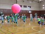 R80129kinball12.jpg