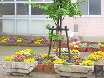R80427ametoko31.jpg