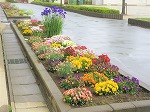 R80427ametoko41.jpg