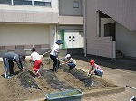 R80512yasai13.jpg