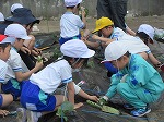 R80512yasai8.jpg